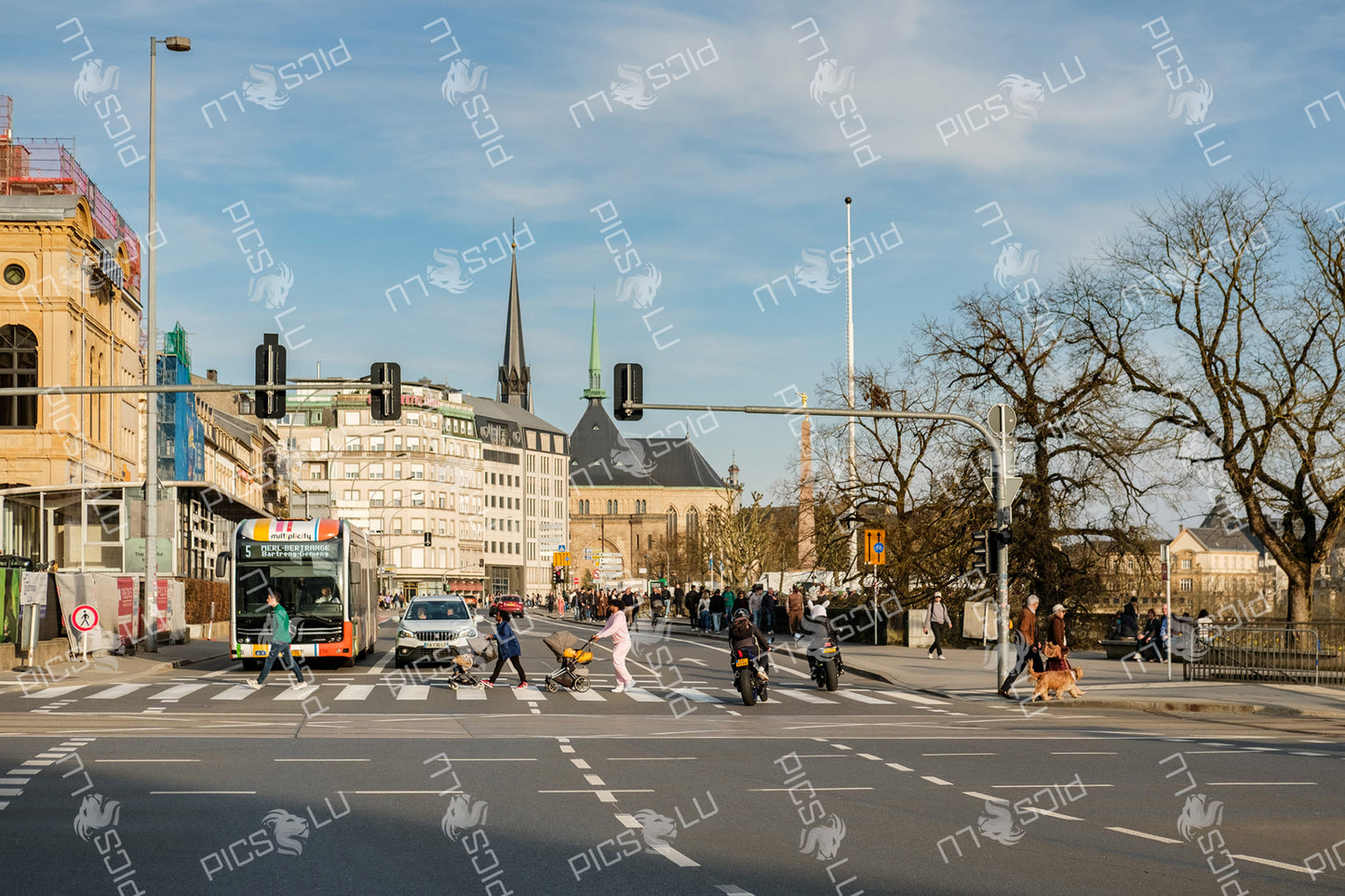 Busy Crosswalk Near Notre-Dame Cathedral In Luxembourg city