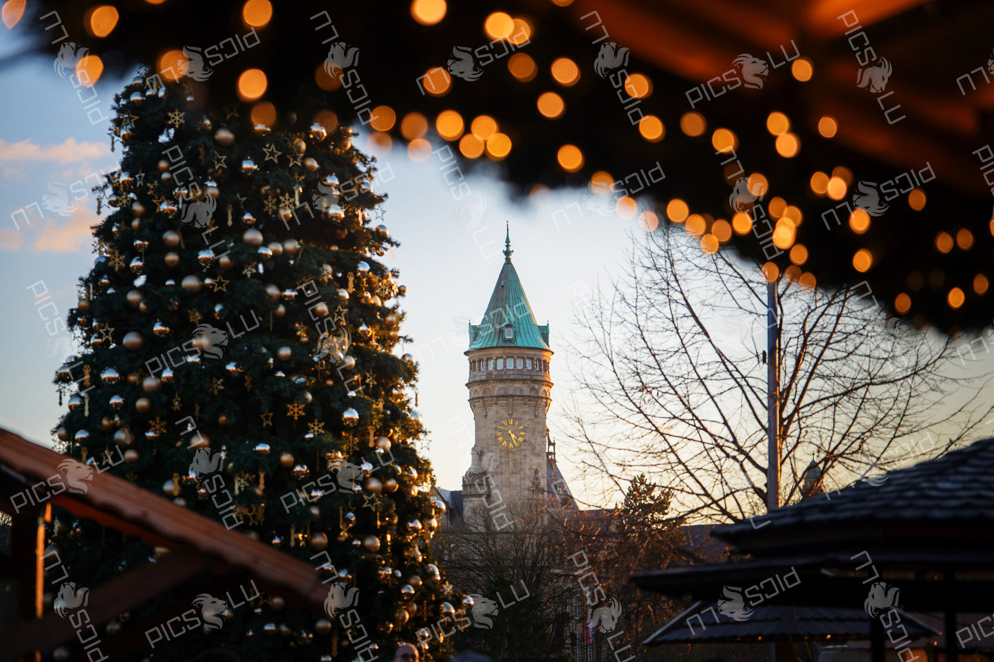 Christmas tree and The Bank Museum
