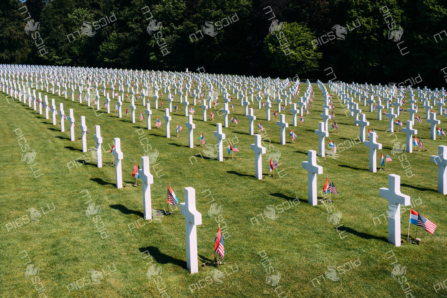 Rows of white crosses at Luxembourg American Cemetery