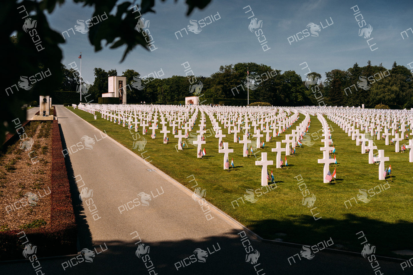 Memorial crosses at Luxembourg American Cemetery