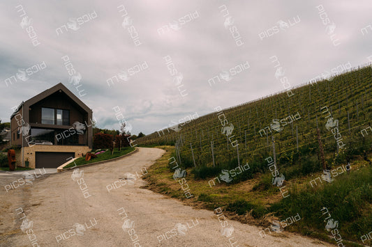 House on vineyard hillside in Luxembourg
