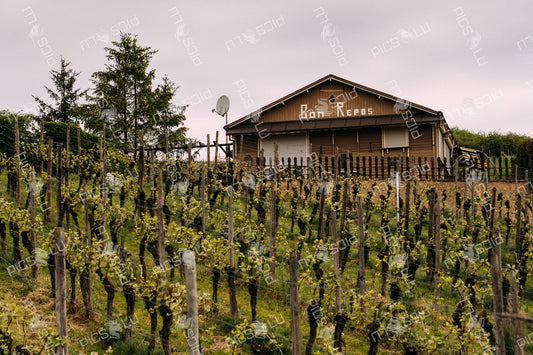Vineyard house Bon Repos in Luxembourg countryside