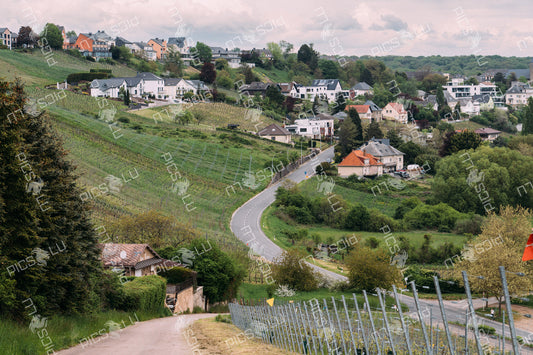 Curving road through vineyards and houses in Remich