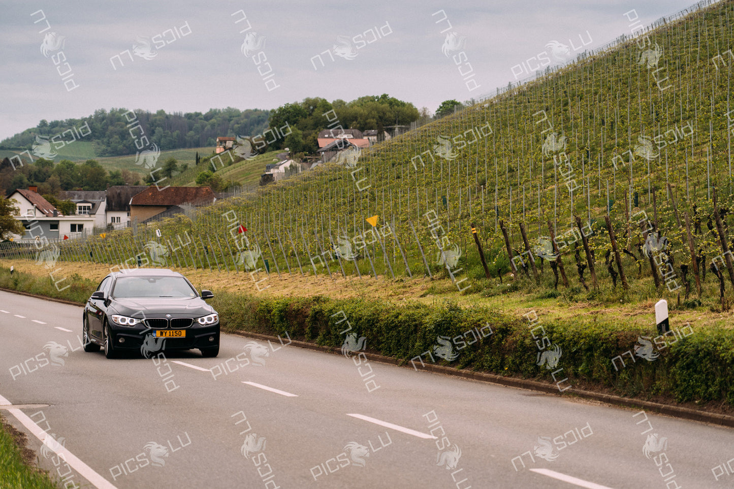 BMW driving through vineyard-lined road in Remich