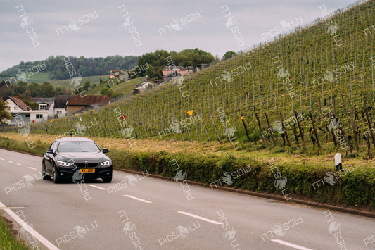 BMW driving through vineyard-lined road in Remich