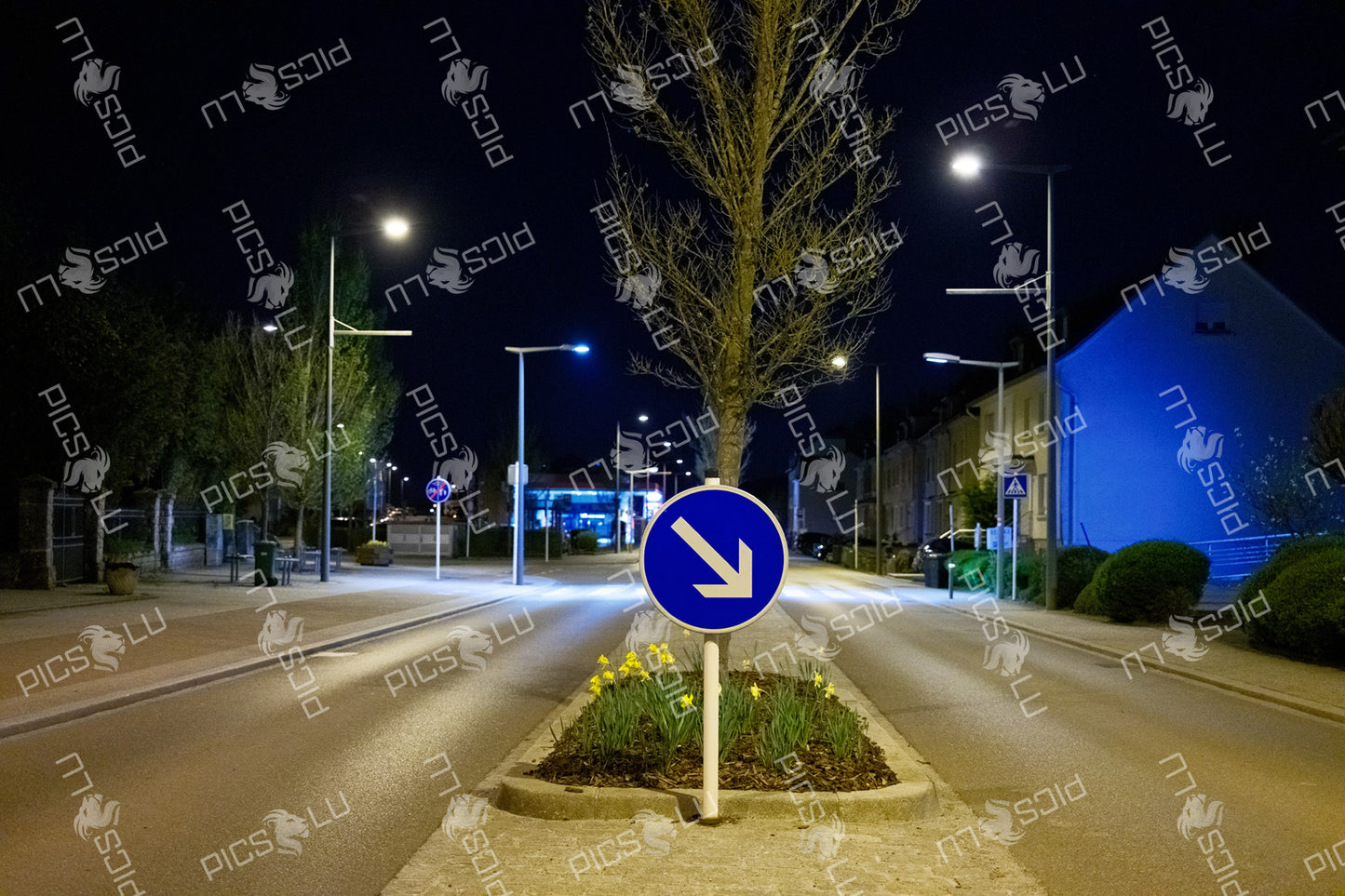 Street at night with arrow sign in Sandweiler, Luxembourg