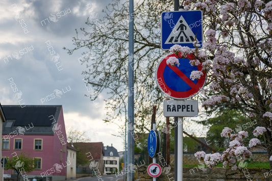 Springtime road signs in Sandweiler, Luxembourg