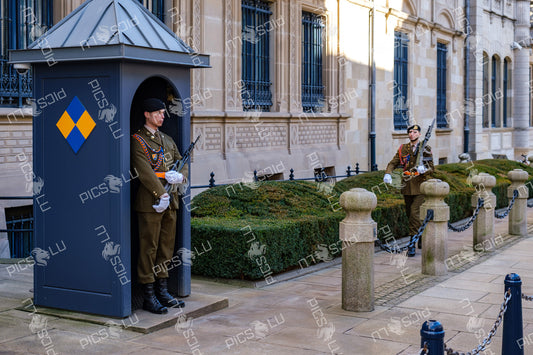 Guards at the Grand Ducal Palace
