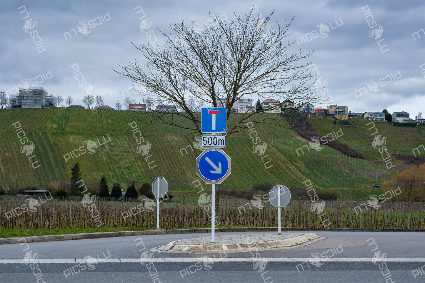 Dead-end road sign near vineyard hillside in Remich