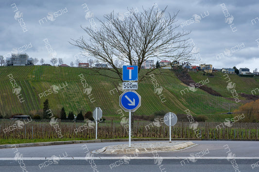 Dead-end road sign near vineyard hillside in Remich