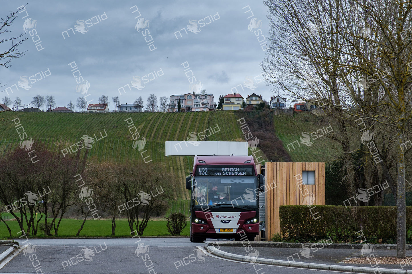 Line 432 bus toward Remich passing vineyard slopes