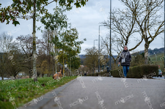 Woman walking dog along the Moselle promenade, Luxembourg