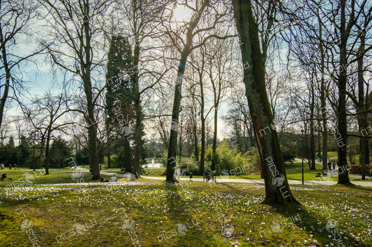 Spring awakening in a park in Luxembourg