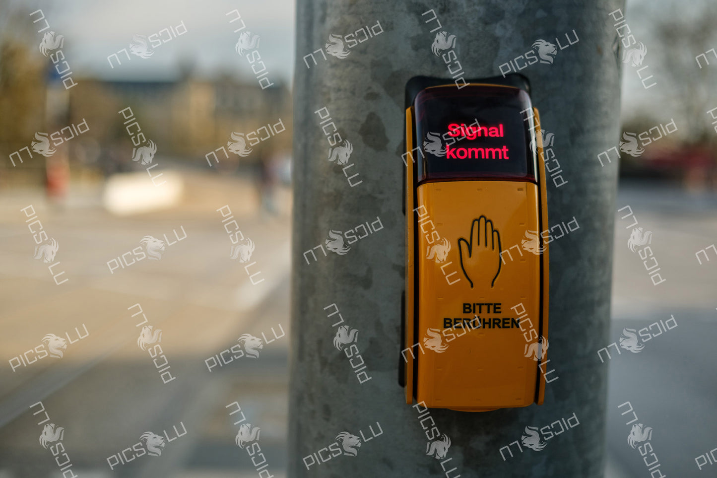 Pedestrian Signal Button In Luxembourg city