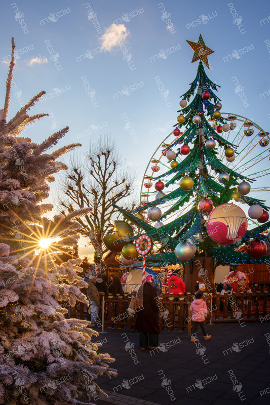 Luxembourg Christmas Market with decorated Christmas tree