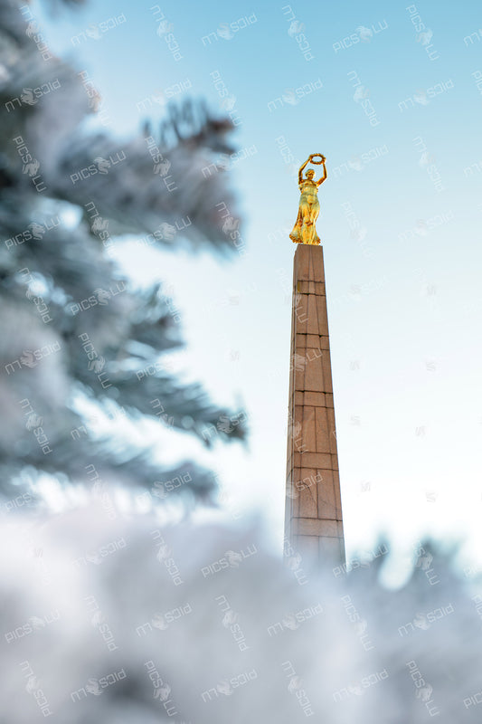 The Golden Lady (Gëlle Fra)