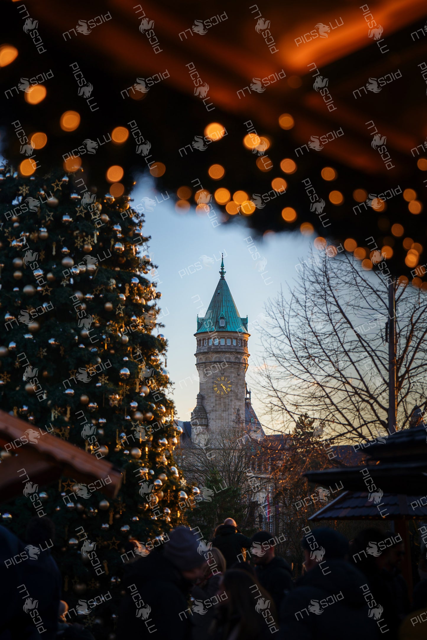 Close-up of Christmas tree and The Bank Museum