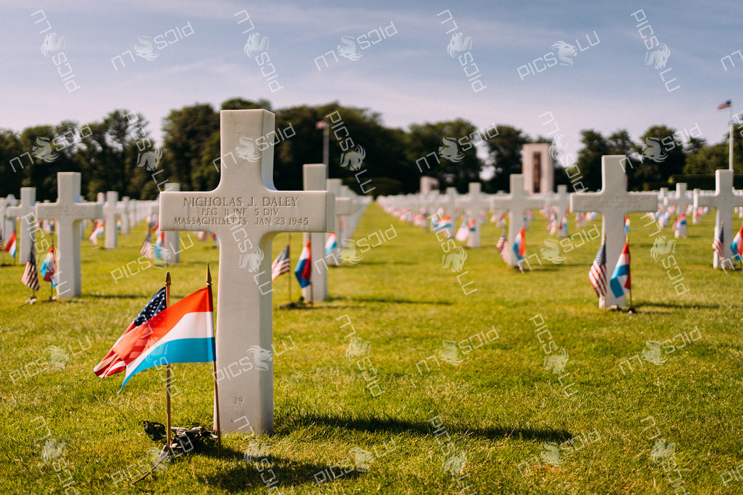 Grave of Nicholas J. Daley at Luxembourg American Cemetery